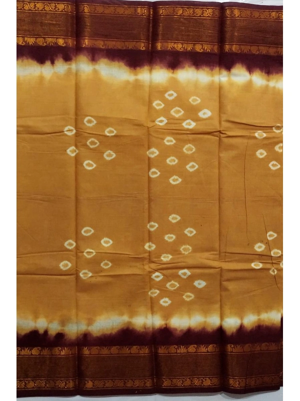 An intricate golden zari border featuring traditional paisley (mango) and leaf patterns -SCS00311